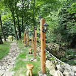 Orle Gniazdo Bed & Breakfast