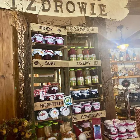 Orle Gniazdo Panzió 3*