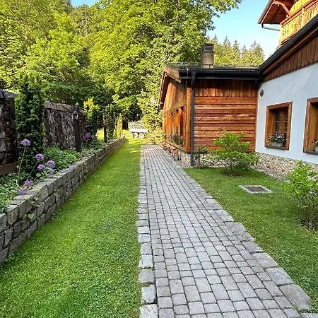 Orle Gniazdo Bed & Breakfast *