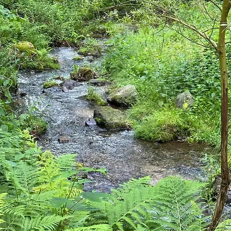 Orle Gniazdo Bed & Breakfast 3*