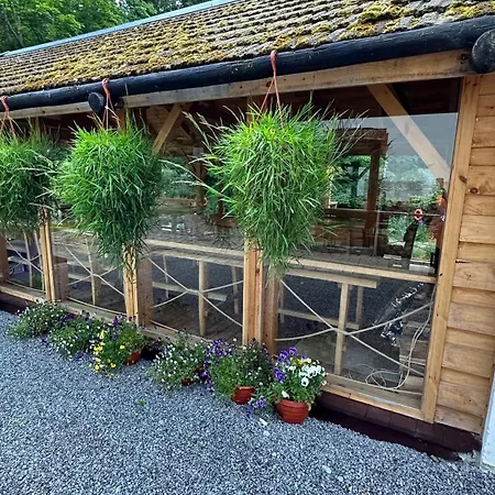 Orle Gniazdo Bed & Breakfast