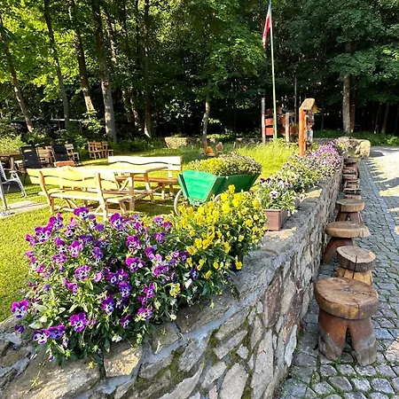 Orle Gniazdo Bed & Breakfast