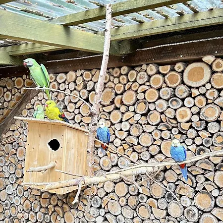 Bed & Breakfast Orle Gniazdo Biala Woda