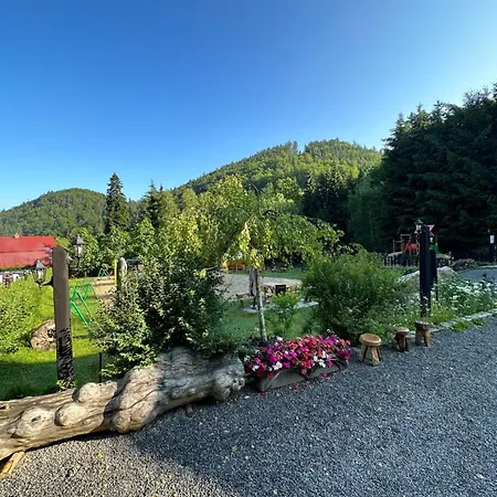 Orle Gniazdo Biala Woda