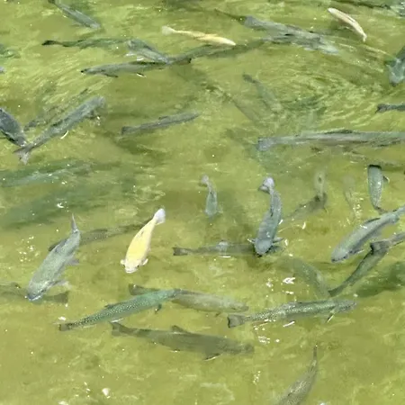 Orle Gniazdo Bed & Breakfast 3*