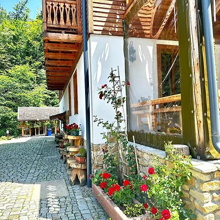 Orle Gniazdo Bed & Breakfast