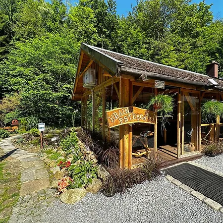 Orle Gniazdo Alojamento de Acomodação e Pequeno-almoço 3*