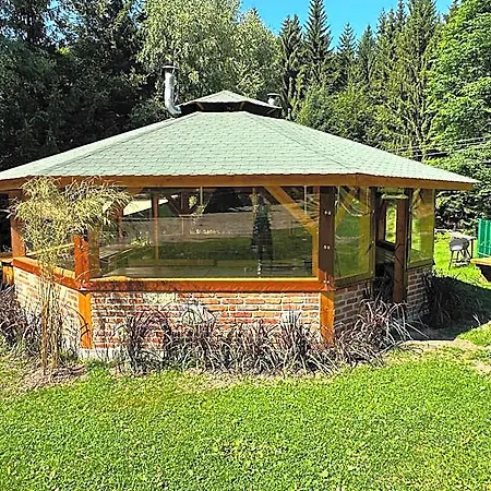 Bed & Breakfast Orle Gniazdo Biala Woda