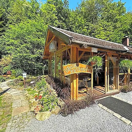 Orle Gniazdo Bed & Breakfast 3*