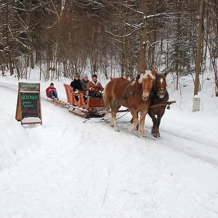 Orle Gniazdo Bed & Breakfast