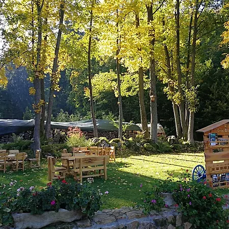 Orle Gniazdo Bed & Breakfast