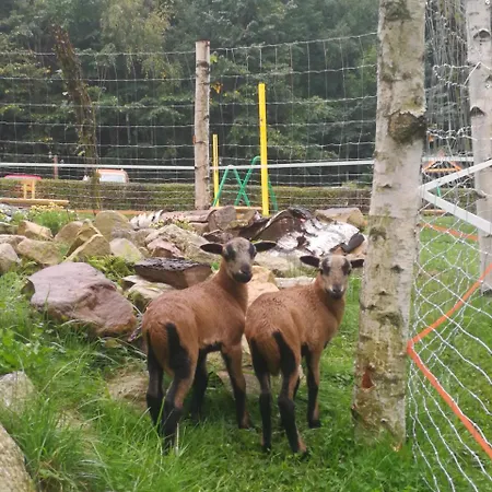 Orle Gniazdo Bed & Breakfast