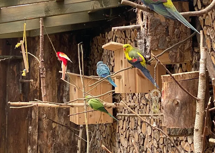 Alojamento de Acomodação e Pequeno-almoço Orle Gniazdo