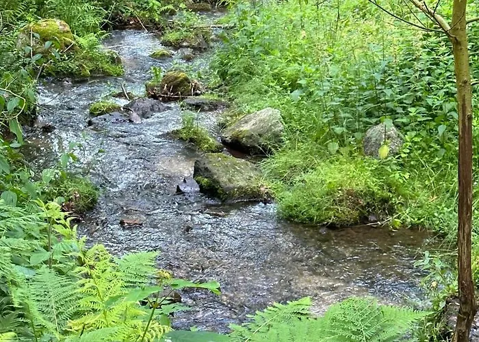Orle Gniazdo Alojamento de Acomodação e Pequeno-almoço 3*