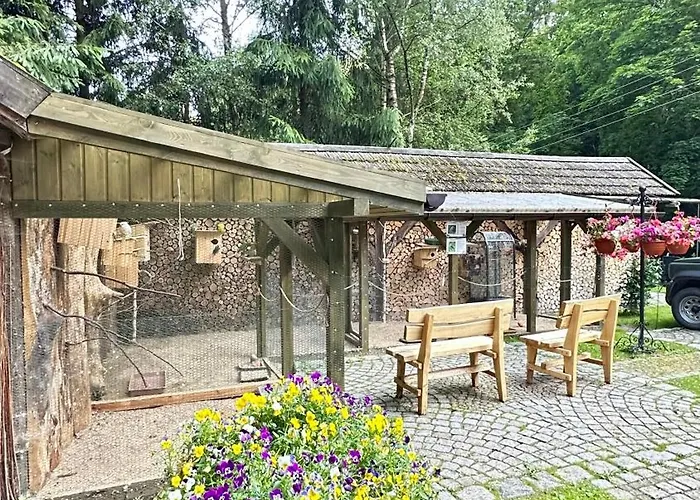 Orle Gniazdo Alojamento de Acomodação e Pequeno-almoço