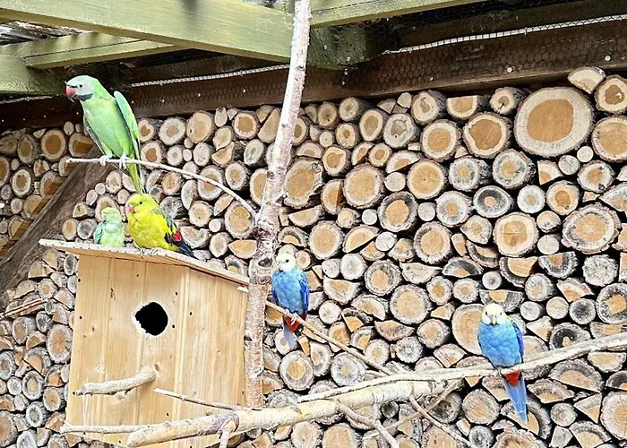 Alojamento de Acomodação e Pequeno-almoço Orle Gniazdo Biala Woda