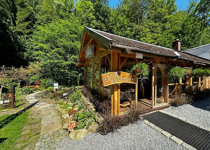 Orle Gniazdo Alojamento de Acomodação e Pequeno-almoço 3*