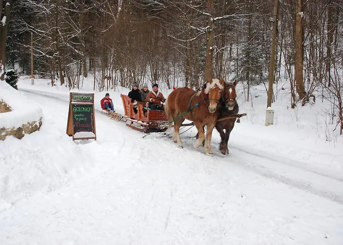 Orle Gniazdo Alojamento de Acomodação e Pequeno-almoço