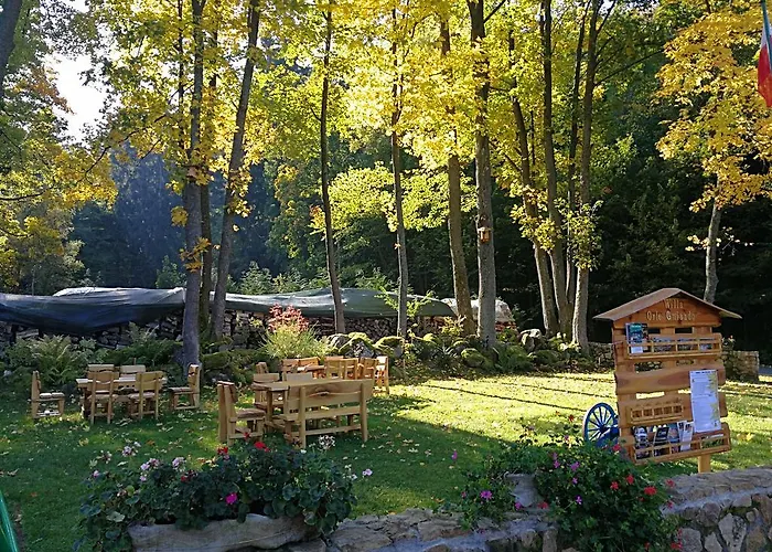 Orle Gniazdo Panzió