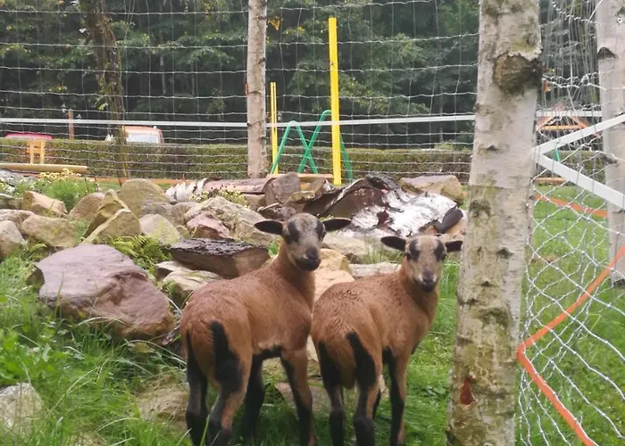 Orle Gniazdo Panzió